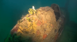 A ‘Ki-43 Oscar Fighter’ Wreck Found in the Philippine Sea — WATCH