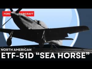 5 Facts About The ETF-51D Sea Horse