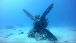 Watch Divers Explore the Wrecks of Saipan “Emily H8K Flying Boat”