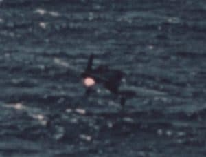 Analyzing The Fatal Torque Roll Corsair Crash Of WW2