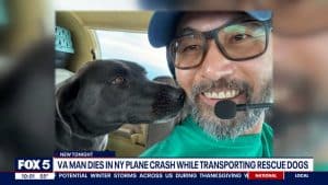 Renowned Animal-Rescue Pilot Dies In NY Plane Crash, 2 Dogs Aboard Survive