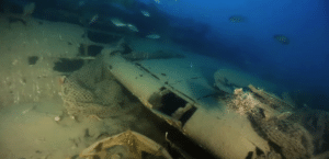 Shot Down WWII ‘Devils From Hell’ B-17 Bomber Discovered Off Sicily, Crew Remains Unfound