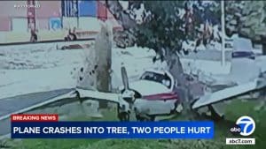 Small Plane Misses Runway, Wraps Around Tree in Crash-Landing