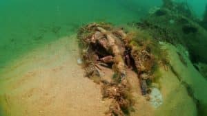 Forgotten WWII Bomber Discovered in North Sea After 80 Years