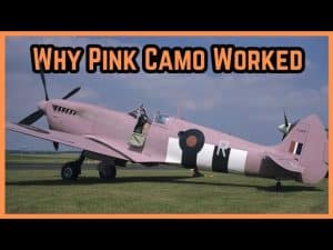 Why Pink Camo Worked