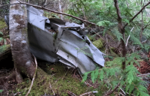 A WW2 B-24 Crash Site Lost in the Mountain Flora