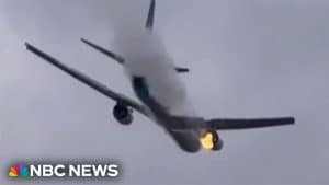 FedEx Cargo Plane Makes Emergency Landing After Bird Strike
