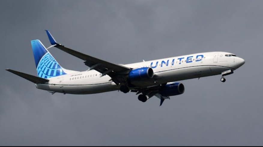 United Airlines Flight Makes Emergency Landing After Rabbit Strike ...
