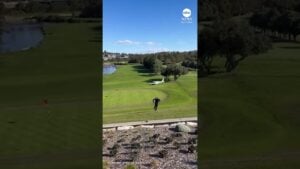 Video Shows Moment Light Plane Crash-Lands on Sydney Golf Course