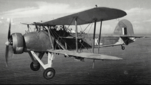 The Rare and Overlooked World War II Planes That Remain Largely Unknown