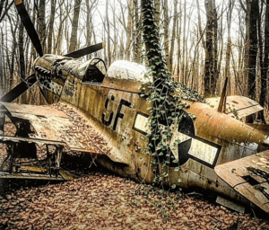 The Story of a WWII Fighter Pilot Who Vanished in 1943 and Whose Plane Was Found Decades Later in the Woods