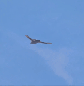 China’s Mysterious GJ-X Drone Makes Its First Flight In Public