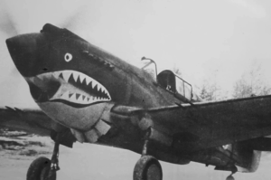 The P-40 Pilot Who Faced 64 Enemy Fighters Alone and Pulled Off a Dogfight No One Believed