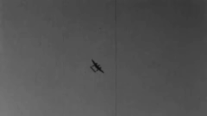 America’s Scariest Flying Killer That No One Was Prepared to Face