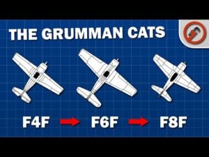 Wildcat, Hellcat, Bearcat: The US Navy’s WWII Fighter Evolution