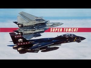 The Lost Potential of the Tomcat