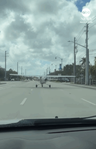 19-Year-Old Pilot Lands Plane on Florida street