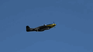 How Close Is the SW-51 Sound to the Real P-51 Mustang