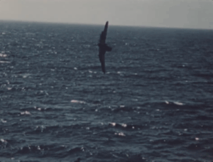 Fatal Torque Roll Crash of FG-1D (F4U) Corsair