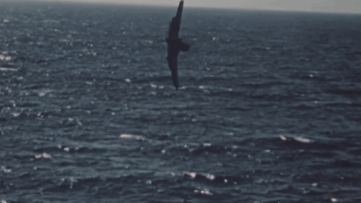 Fatal Torque Roll Crash of FG-1D (F4U) Corsair